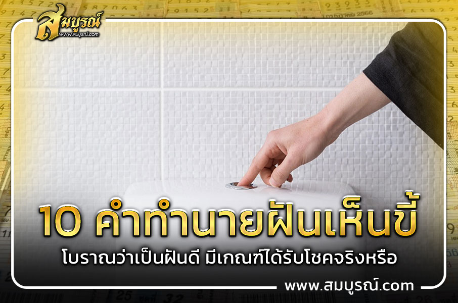 10 คำทำนายฝันเห็นขี้ โบราณว่าเป็นฝันดี มีเกณฑ์ได้รับโชคจริงหรือ